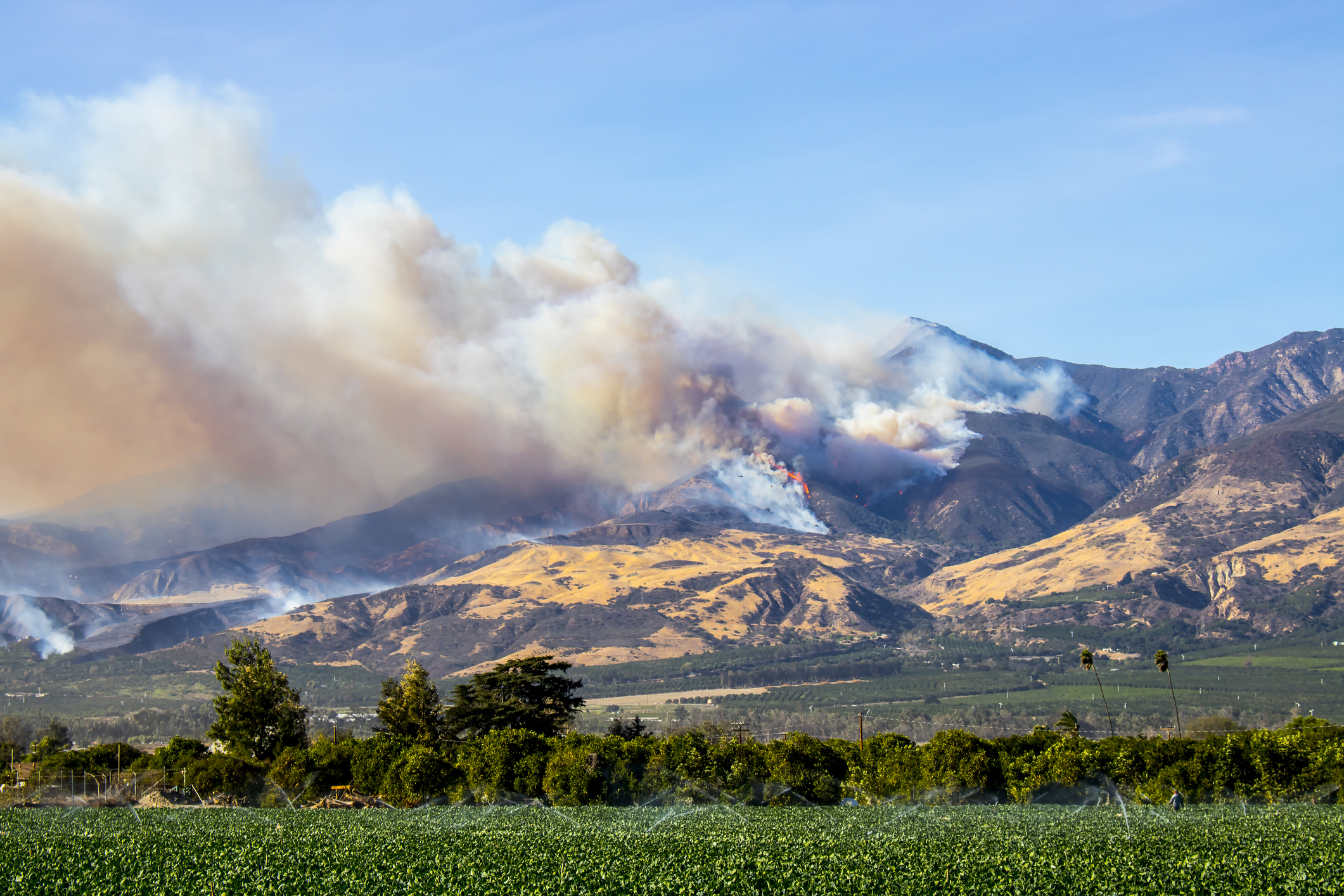 Local Public Health Responsibilities During Wildfire Emergencies