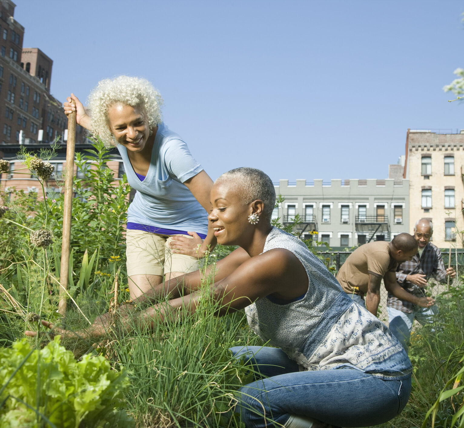 Health Equity/Social Determinants of Health